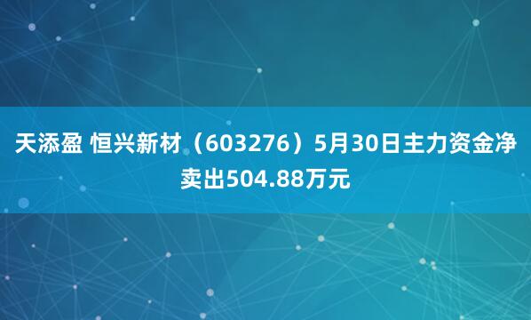 天添盈 恒兴新材（603276）5月30日主力资金净卖出504.88万元