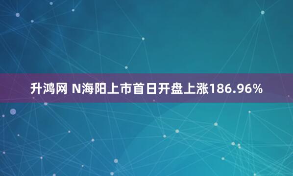 升鸿网 N海阳上市首日开盘上涨186.96%