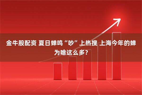 金牛股配资 夏日蝉鸣“吵”上热搜 上海今年的蝉为啥这么多？