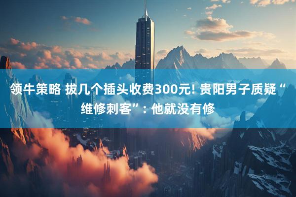领牛策略 拔几个插头收费300元! 贵阳男子质疑“维修刺客”: 他就没有修