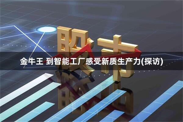 金牛王 到智能工厂感受新质生产力(探访)