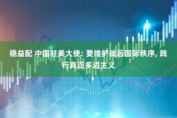 稳益配 中国驻美大使: 要维护战后国际秩序, 践行真正多边主义
