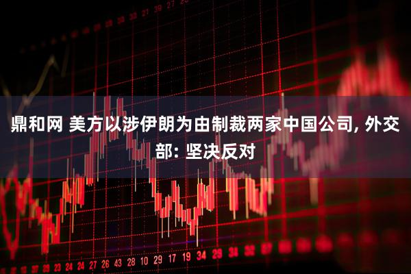 鼎和网 美方以涉伊朗为由制裁两家中国公司, 外交部: 坚决反对