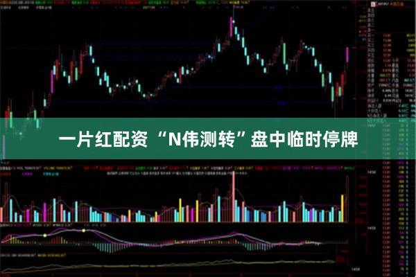 一片红配资 “N伟测转”盘中临时停牌