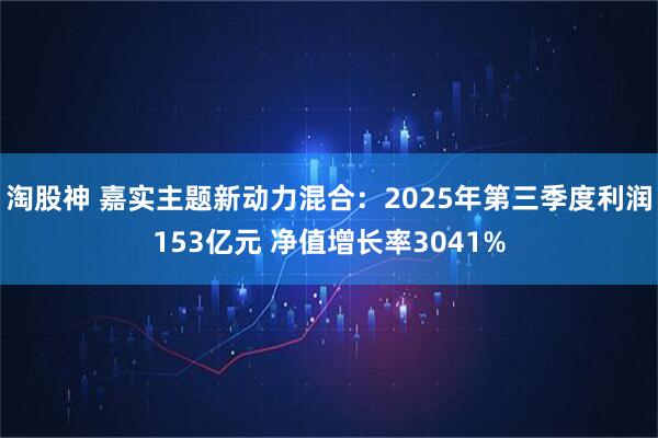 淘股神 嘉实主题新动力混合：2025年第三季度利润153亿元 净值增长率3041%