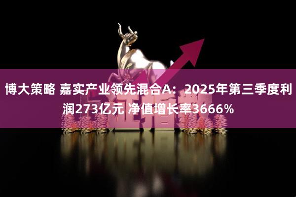 博大策略 嘉实产业领先混合A:2025年第三季度利润273亿元 净值增长率3666%